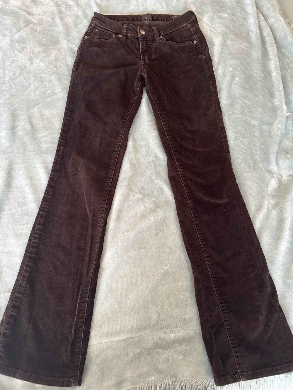 Jag Jeans Dark Brown Corduroy Boot-Cut Pants